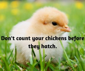 don't count your chickens