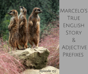 Marcelo’s True English Story and Adjective Prefixes