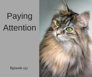 Paying Attention – AIRC197
