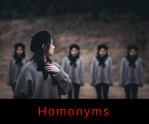 Homonyms – AIRC237