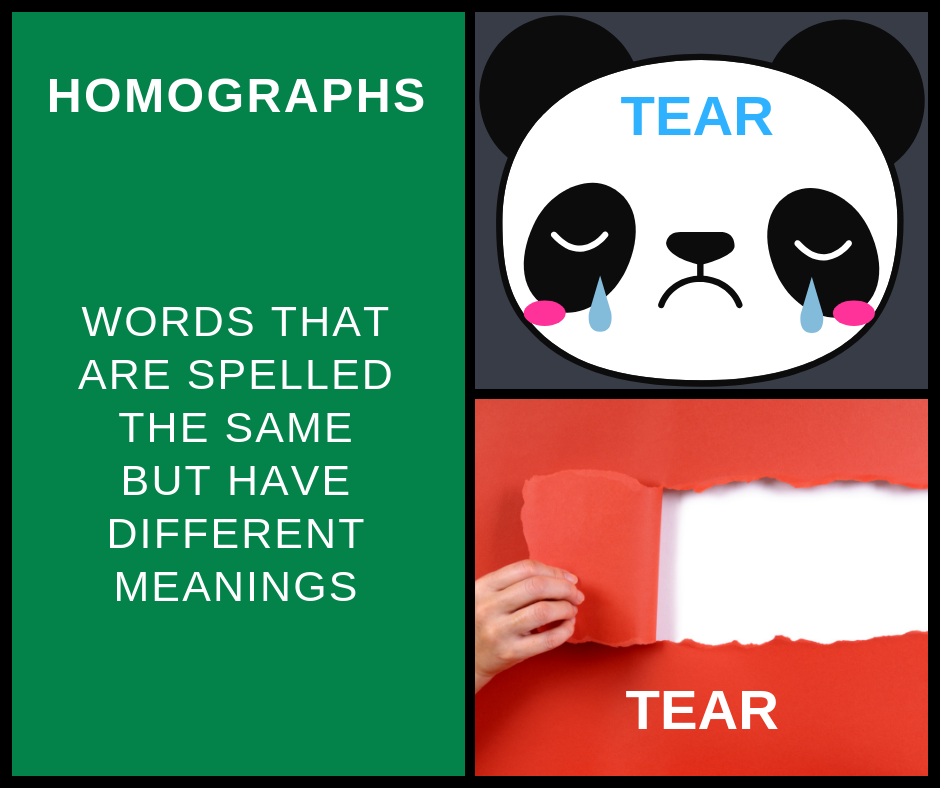 Homographs – AIRC240