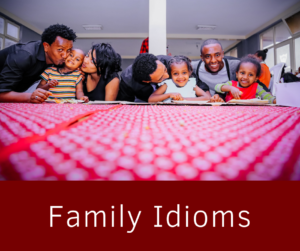 Family Idioms – AIRC245