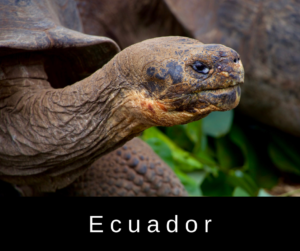 Ecuador – AIRC254