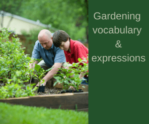 Gardening vocabulary and expressions – AIRC356