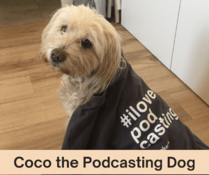 A Day in the Life of Coco the Podcasting Dog – AIRC365