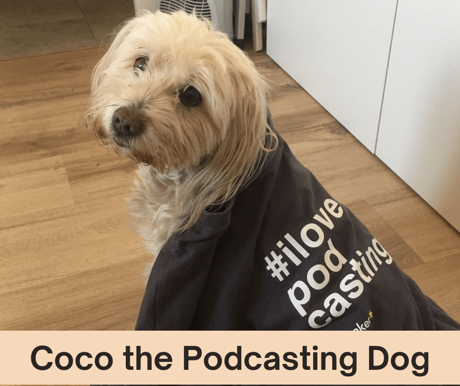 A Day in the Life of Coco the Podcasting Dog AIRC365