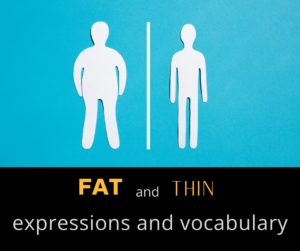 Fat and Thin Expressions and Vocabulary – AIRC479