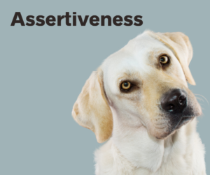 Assertiveness – AIRC501
