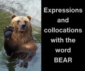 18 Expressions and collocations with the word BEAR – AIRC507