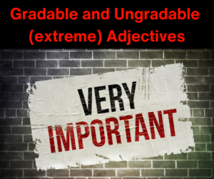 Gradable and Ungradable Adjectives – AIRC508