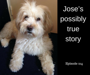 Jose’s possibly true story – AIRC214