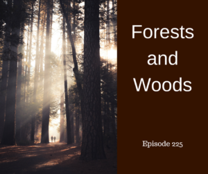 Forests and Woods – AIRC225
