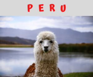 Peru – AIRC269