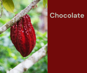 Chocolate – AIRC353
