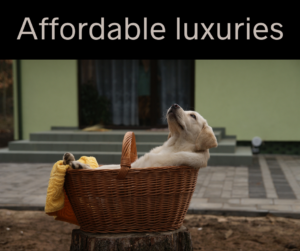Affordable luxuries – AIRC469