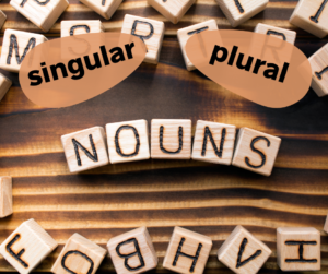 Singular and Plural Nouns – AIRC478